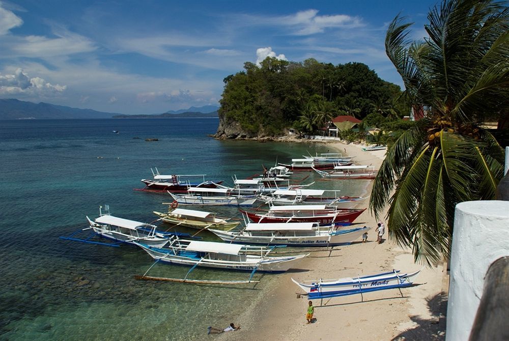 Scandi Divers Puerto Galera Εξωτερικό φωτογραφία